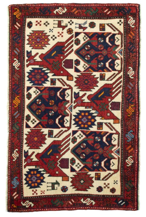 SHIRAZ